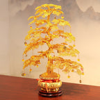 Money tree / Feng Shui tree / Christmas gift / Entrance hall, hallway, study decoration / Lucky and prosperous tree